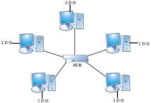 西城高級中學網絡技術應用模塊期末試題解析 計算機軟硬件技術開發(fā)